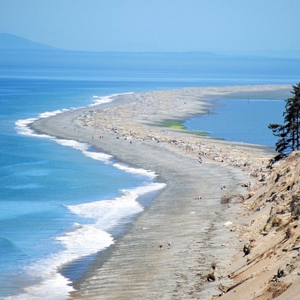 The Dungeness Spit stretches nearly seven miles north into the Strait of Juan de Fuca and protects Sequim Bay. Hiking the Dungeness Spit is a rewarding experience for all levels of physical ability. The Dungeness Lighthouse is located.on its point. 
