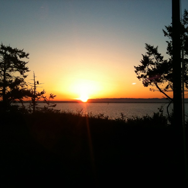 City of Sequim  - Webpage Image