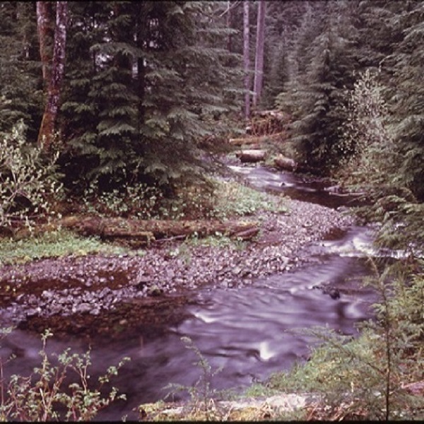Montesano is located at the intersection of three popular Pacific Northwest rivers, the Satsop, pictured here, the Wynoochee, and the Chehalis,  just a few miles upriver from where they enter the Pacific Ocean. 