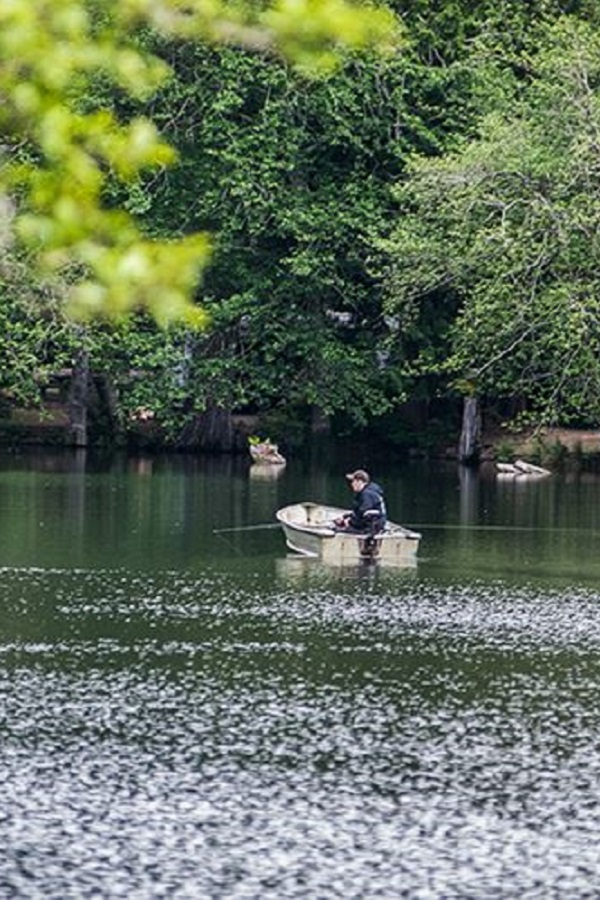 Lake Sylvia State Park  - Display Image