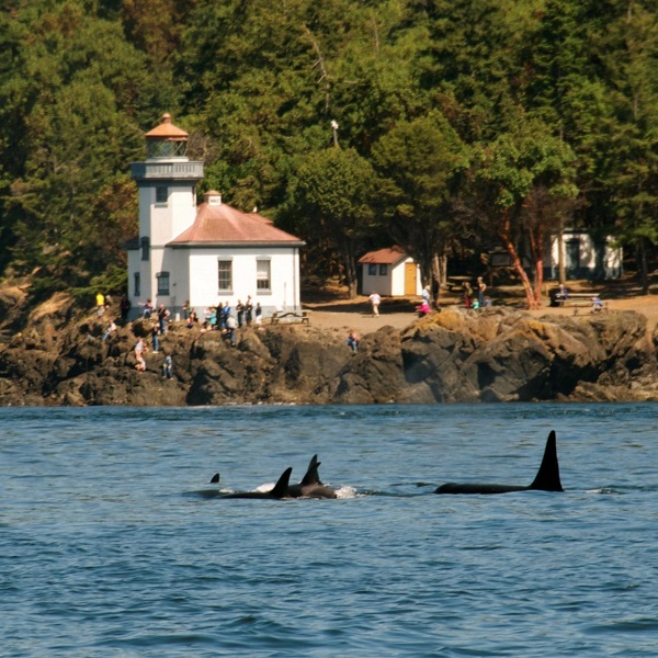 Lime Kiln Lighthouse  - Webpage Image