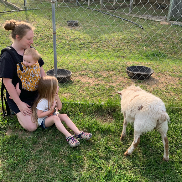 A favorite part of the Luray Zoo is the feeding zoo, where visitors can get down and close-up to the residents.