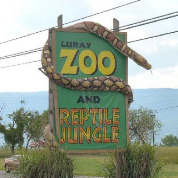 The Luray Zoo cares for over 250 wild animals, including the largest collection of venomous snakes on the East Coast.