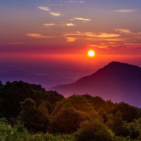 Skyline Drive Scenic Byway  - Webpage Image