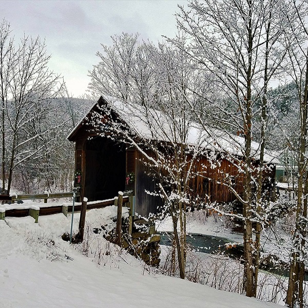 Hall Covered Bridge  - Webpage Image