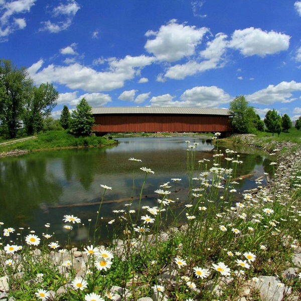 More pedestrians have access to this historic bridge now that it is on the Pumpkin Park grounds. 