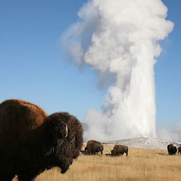 The town of Cody is named for Buffalo Bill Cody, who was one of the founding fathers in 1896.