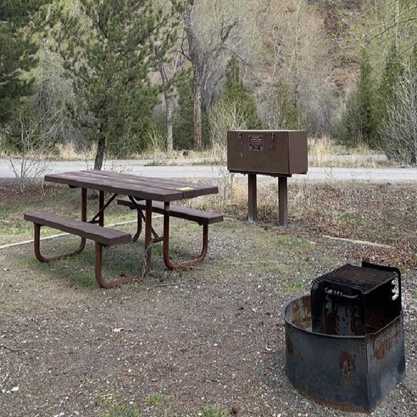 All sites include a picnic table, campfire ring, and food storage locker. 