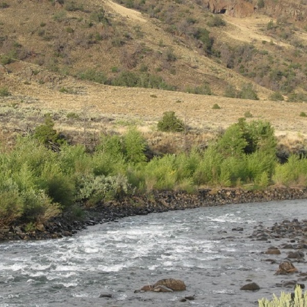 The North Fork of the Shoshone Rive passes alongside the campground. 