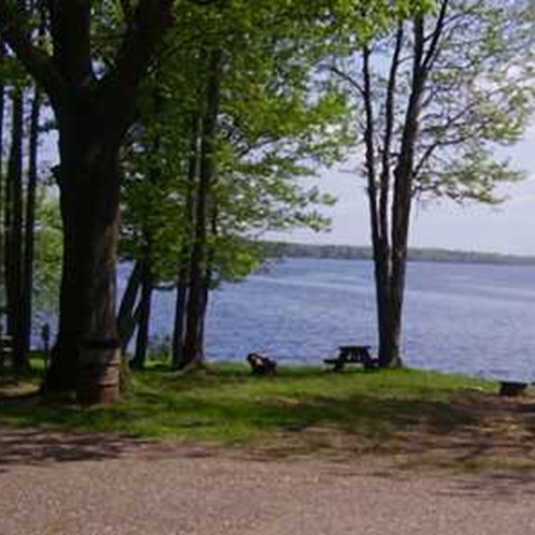 Bird-watchers will find heron, crane, mourning doves, eagles and osprey among many other species.