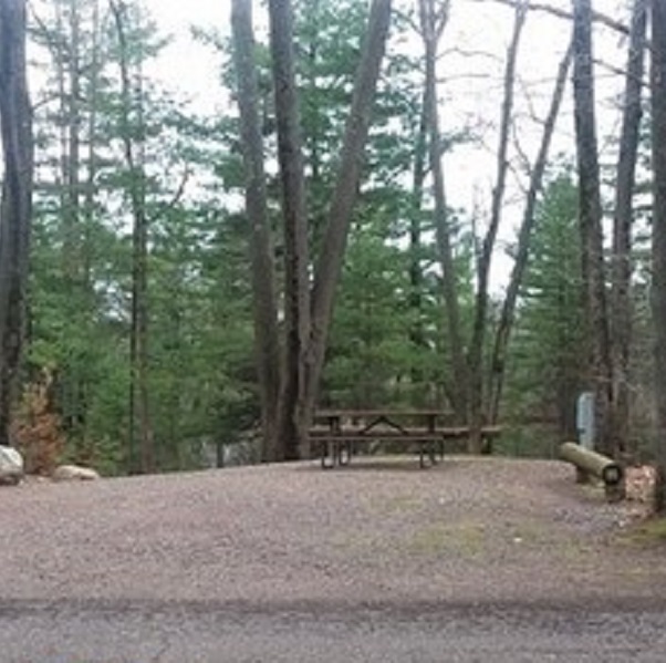 Most campsites at Pine Point provide easy access to Lake Holcombe. 