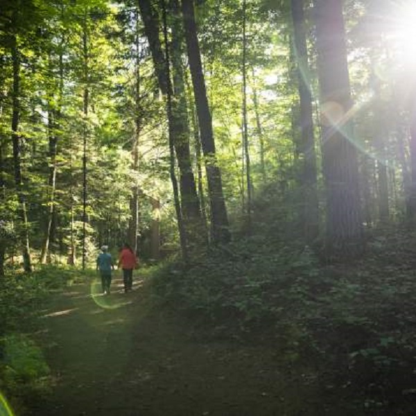 Thousands of miles of hiking and biking trails assures even the most robust humans do not have to choose the same trails twice. 