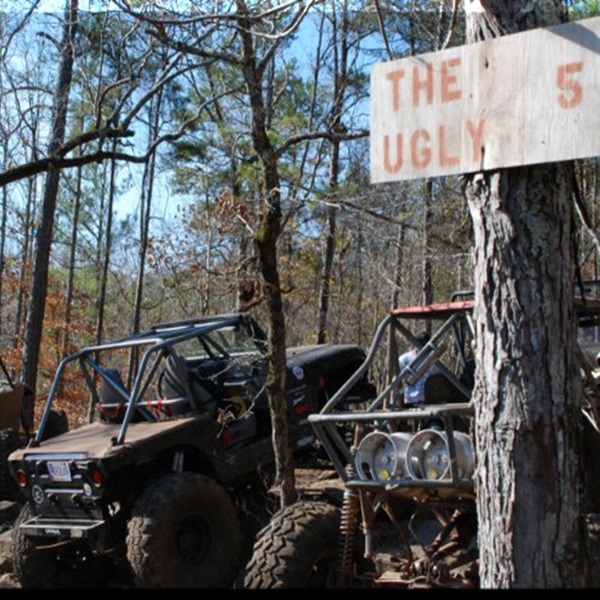 Covering over 2,500 acres of diverse terrain, the park offers something for everyone, from beginner-friendly trails to challenging rock gardens and mud pits. 