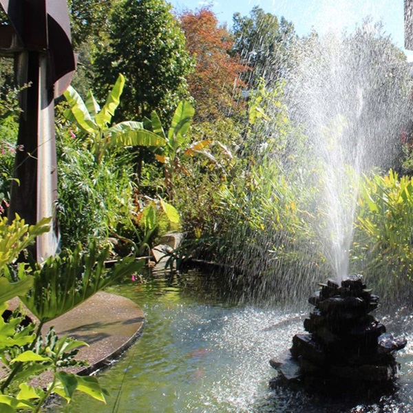 Anniston Museum and Gardens  - Webpage Image