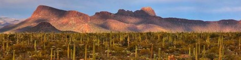 Marana Chamber of Commerce - Header Image