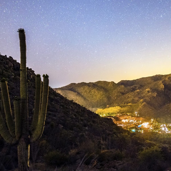 Marana Chamber of Commerce - Webpage Image