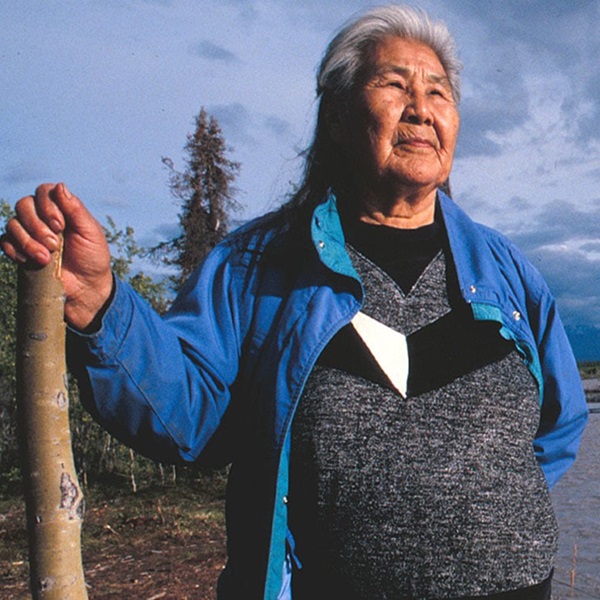 The Ahtna Tribe’s traditional territory, called Atna Nenn', stretches across a vast area of southcentral Alaska, encompassing the Copper River Basin, Wrangell-St. Elias National Park, and parts of the Alaska Range. 