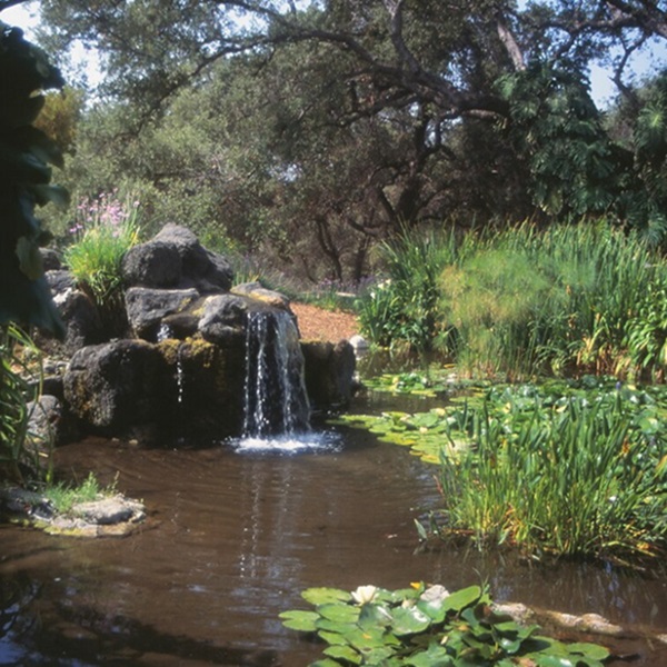 The arboretum features a variety of habitats, including a Mediterranean Garden, a South African Garden, and an Aquatic Garden. 