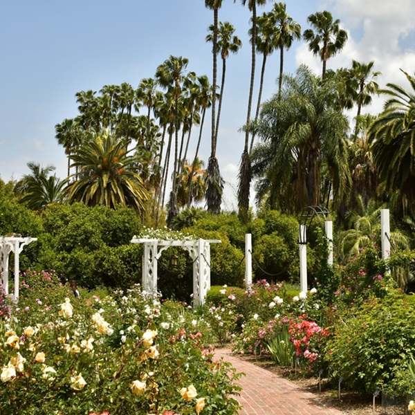 The Rose Garden features over 850 varieties of roses blooming from spring to fall. 