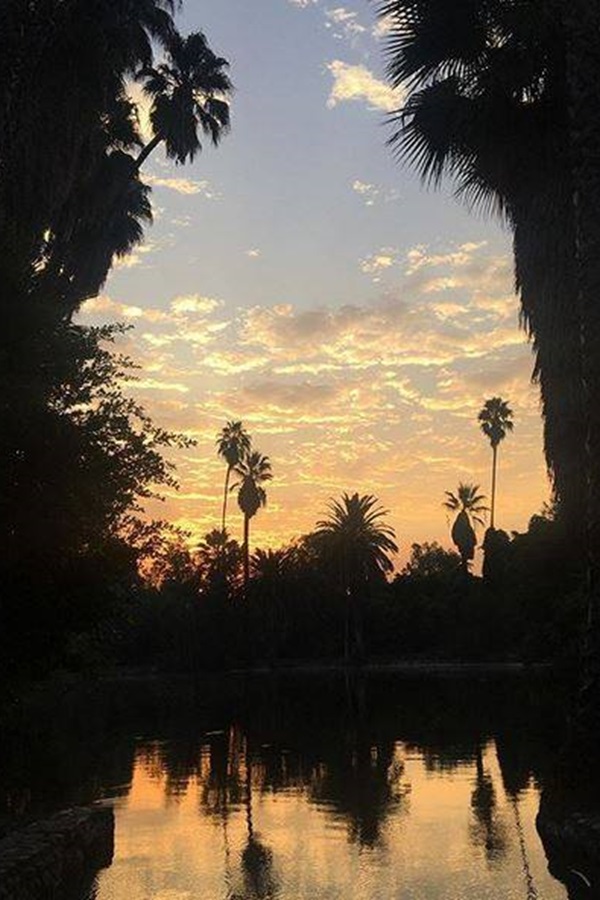 Los Angeles Arboretum    - Display Image