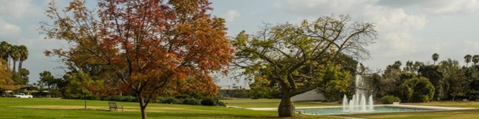 Los Angeles Arboretum    - Header Image