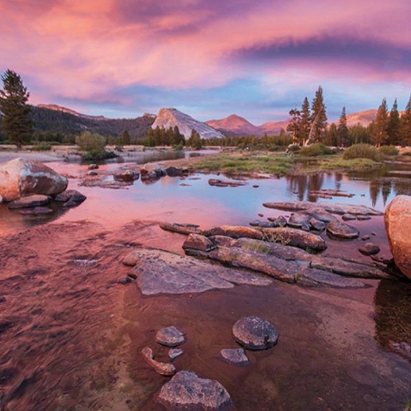 Yosemite National Park     - Webpage Image