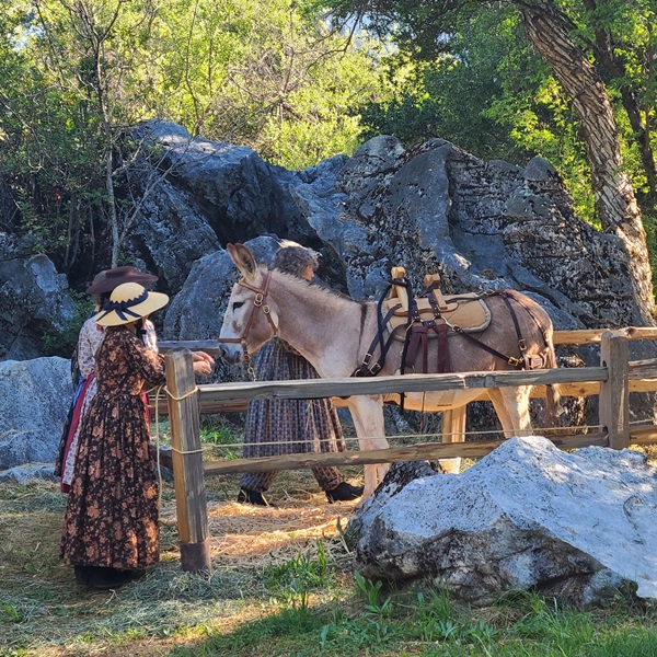 Unlike many other "ghost towns" that have fallen into disrepair, Columbia State Historic Park has retained its authentic character. 