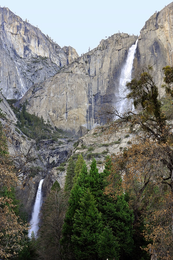Yosemite Falls  - Display Image