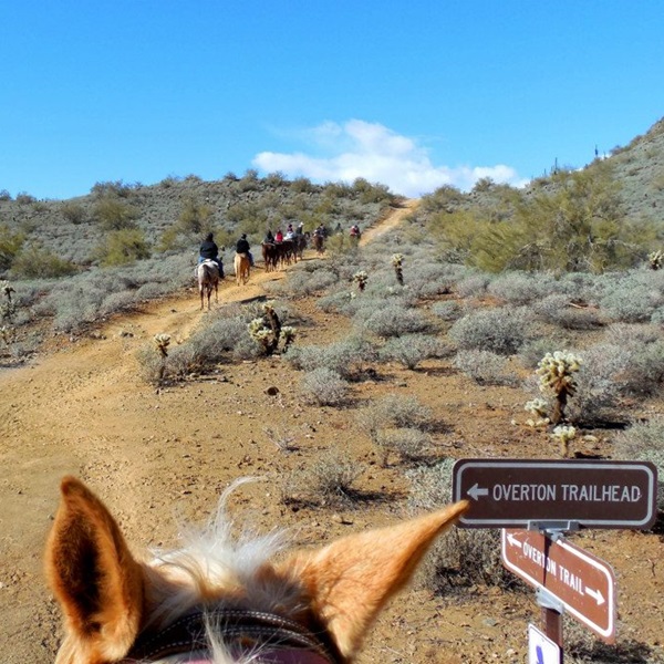 Hikers visiting Cave Creek can explore a network of trails, including the popular Spur Cross Trail and the scenic Black Mountain Trail. 