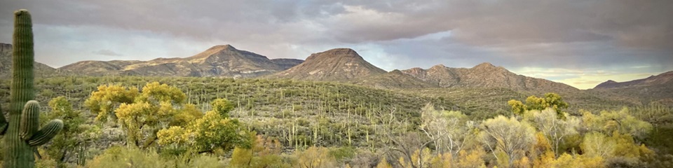 City of Cave Creek - Header Image