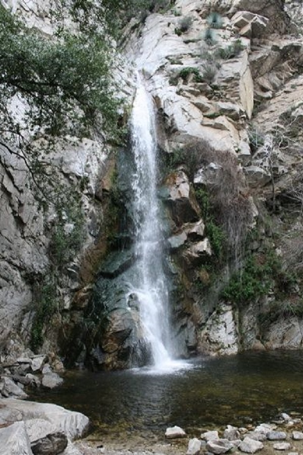 Wilderness Park  - Display Image