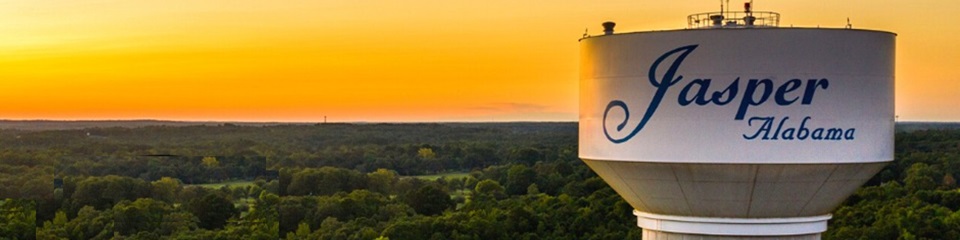 The Chamber of Commerce of Walker County - Header Image