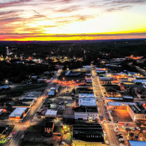 The Chamber of Commerce of Walker County - Webpage Image