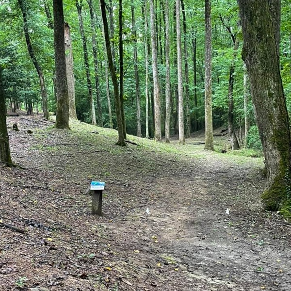 The Eagle Disc Golf Course features 18 holes, each with its own unique layout and challenges. 