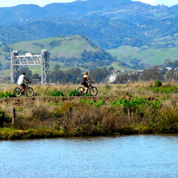 The Newell Open Space Preserve boasts over 685 acres of diverse terrain in American Canyon, including rolling hills, oak woodlands, and seasonal creeks. 