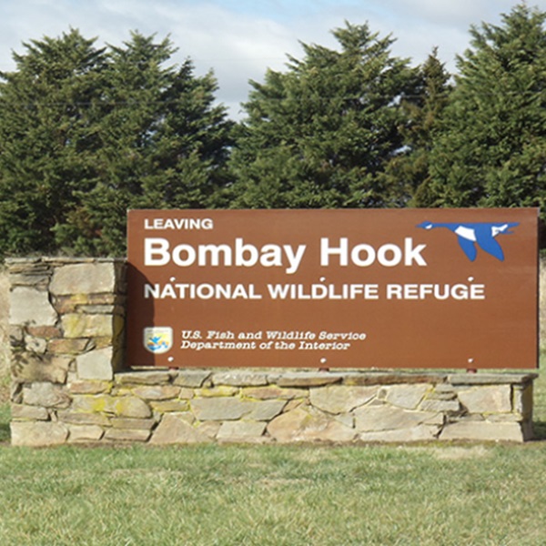 As the sun sets over the marsh, casting long shadows across the water, Bombay Hook takes on a magical aura. 