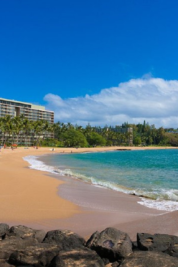 Kauai Chamber of Commerce - Display Image