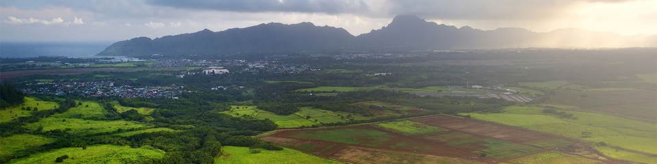 Kauai Chamber of Commerce - Header Image