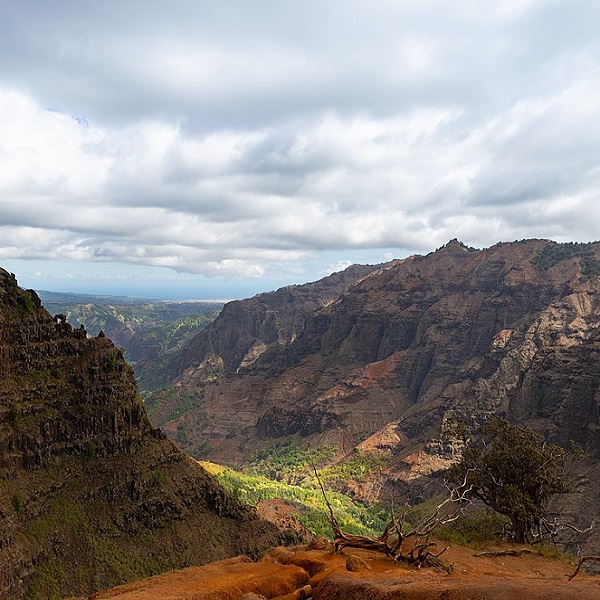 Waimea Canyon is renowned for its dramatic landscape, characterized by colorful striated cliffs, deep gorges, and lush vegetation. 