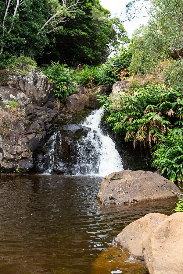 Waimea Canyon State Park  - Display Image