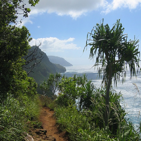 The trail to the falls can be accessed after following the Kalalau Trail. 