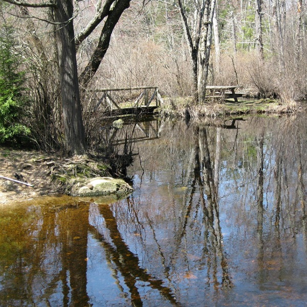 A variety of outdoor activities await nature lovers, including hiking or biking through the scenic trails of Pachug State Forest or relaxing by the shores of Lake Moosup.