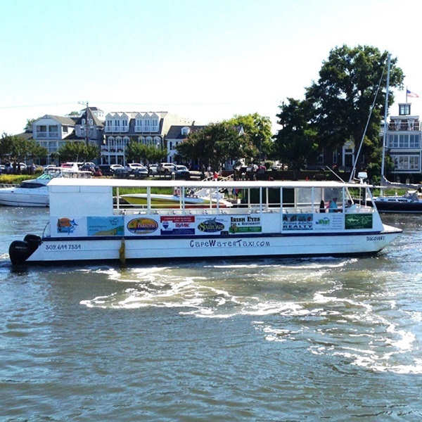 Cape Water Tours are known for their friendly and informative narration, making the tours both enjoyable and educational. 