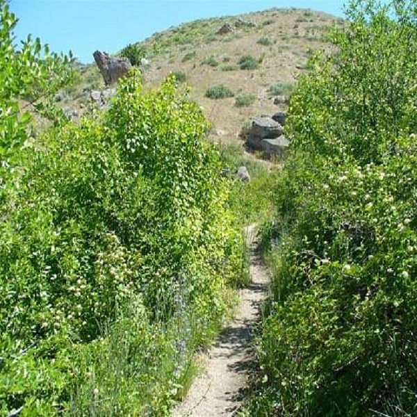 The Lower Hulls Gulch trail is the starting point for about 180 miles of trails in these foothills above Boise. 