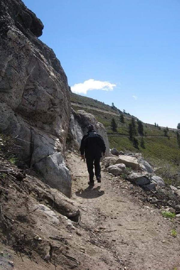 Hulls Gulch Reserve    - Display Image