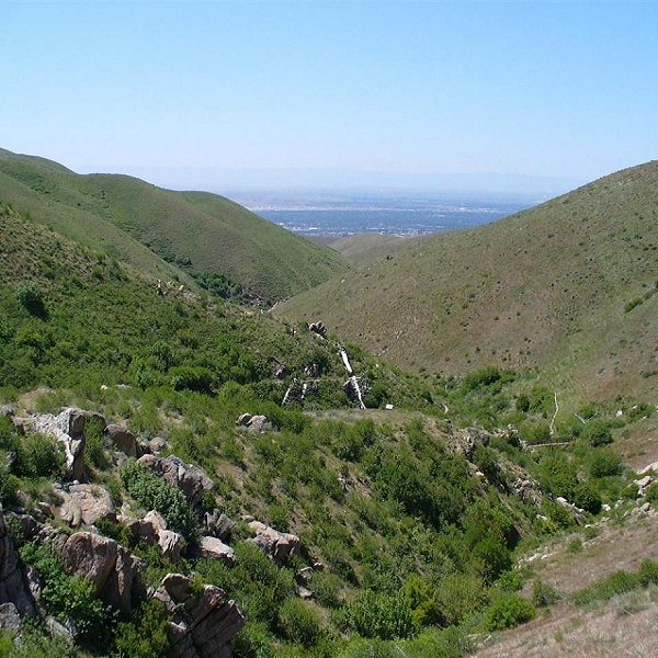 Hulls Gulch Reserve    - Webpage Image