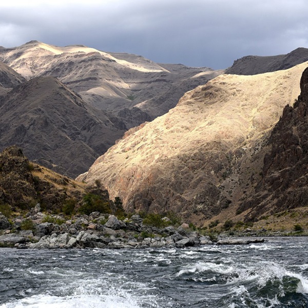 Snake River Adventures offers jet boat tours that navigate deep into the canyon, passing hidden alcoves and historical landmarks.