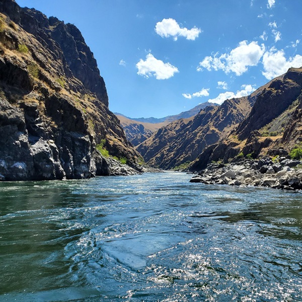 Learn about the Nez Perce Tribe's rich history and the Lewis and Clark Expedition's challenging journey through the canyon.