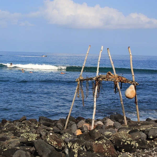 Kona-Kohala Chamber of Commerce - Webpage Image