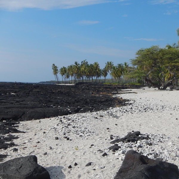 Kaloko-Honokōhau National Historic Park offers a unique blend of cultural heritage, stunning landscapes, and diverse birdlife, making it a paradise for birdwatchers. 